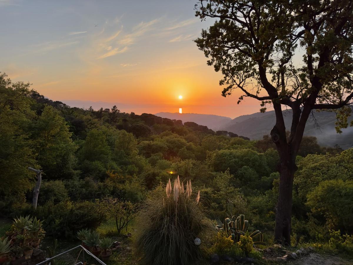 Cefalu Forest Hideout מראה חיצוני תמונה