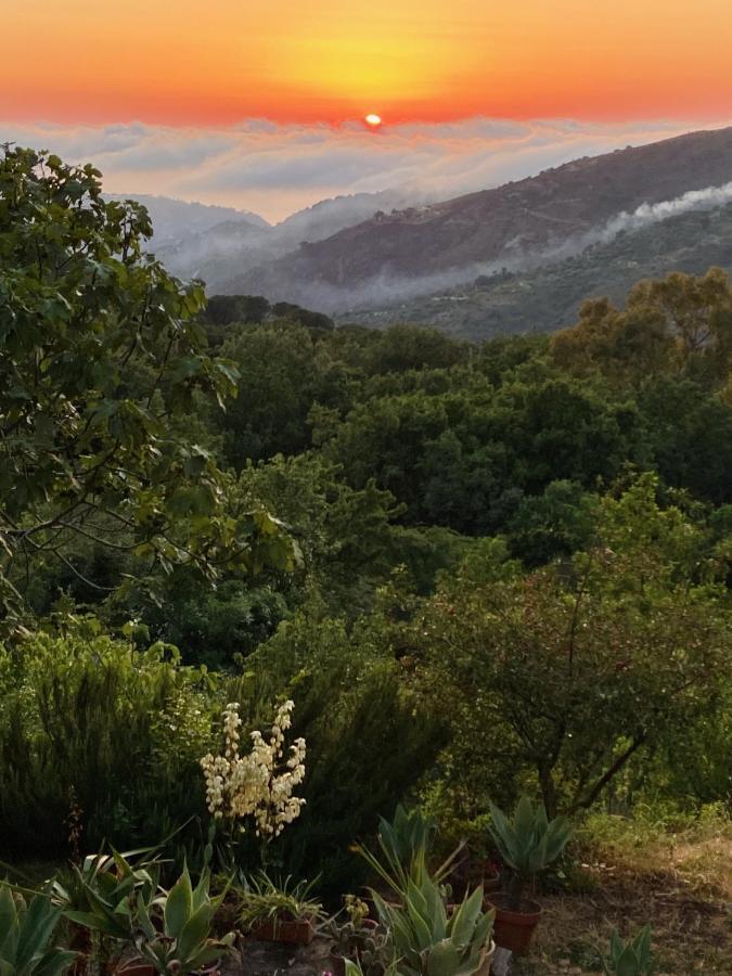 Cefalu Forest Hideout מראה חיצוני תמונה