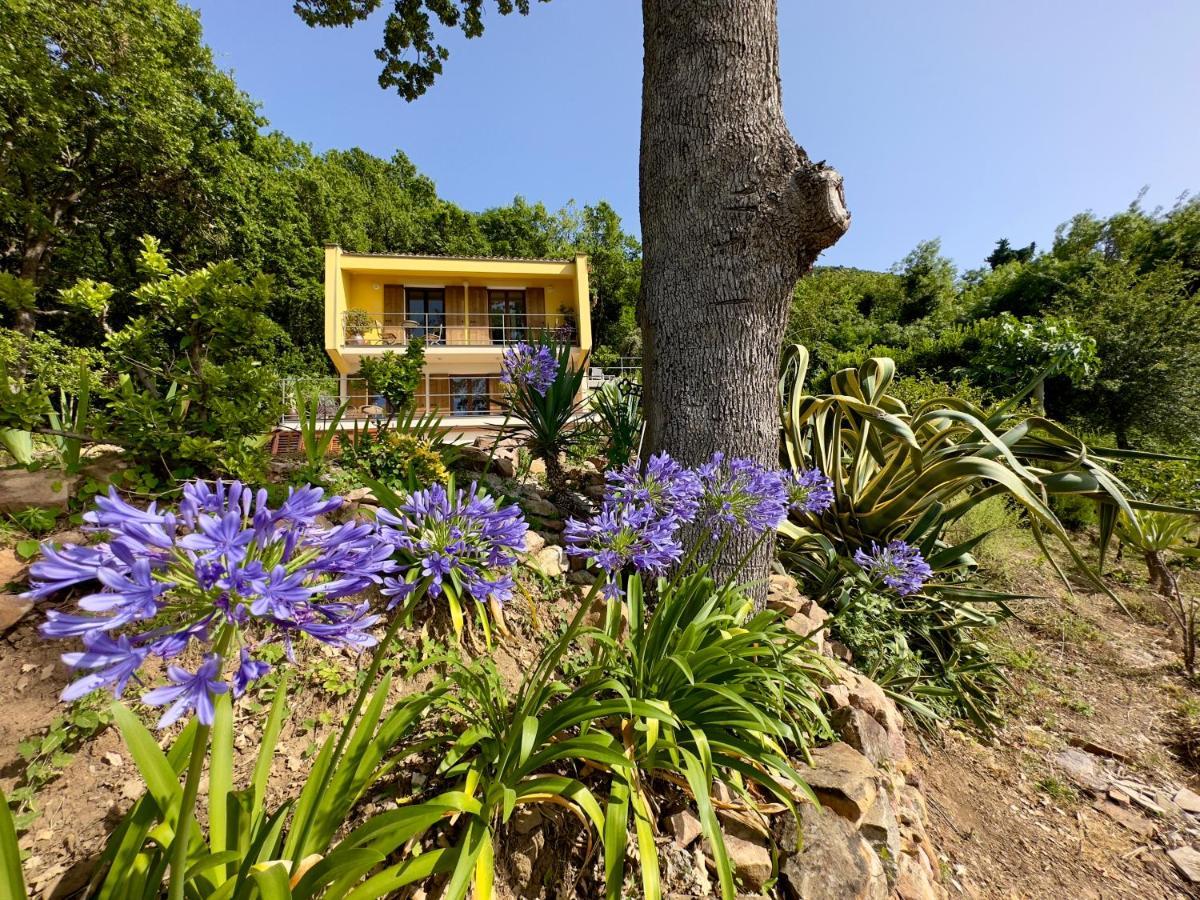 Cefalu Forest Hideout מראה חיצוני תמונה