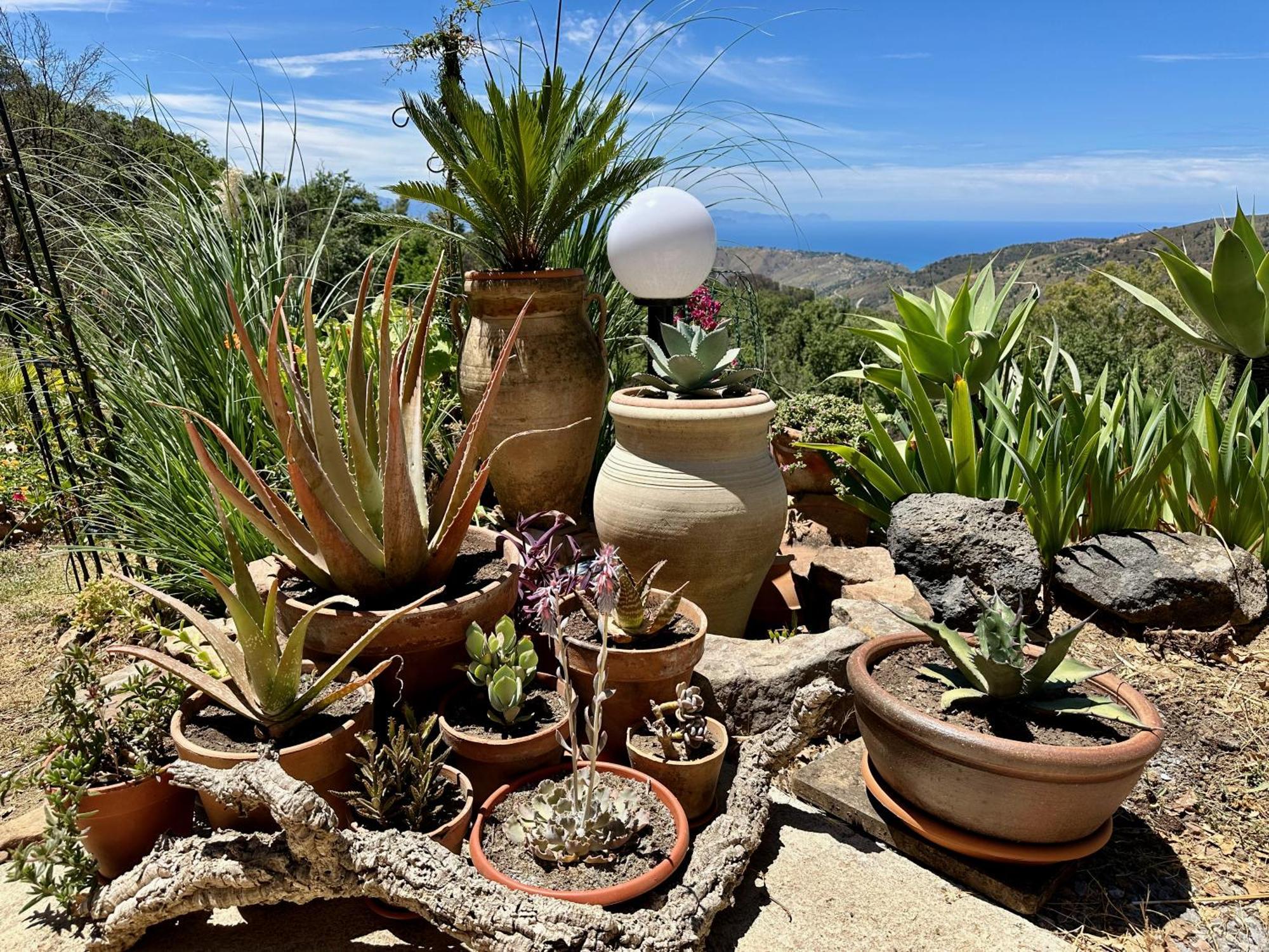 Cefalu Forest Hideout מראה חיצוני תמונה